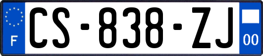 CS-838-ZJ