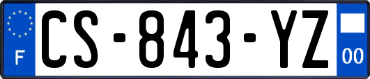 CS-843-YZ