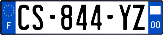 CS-844-YZ