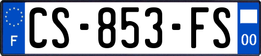 CS-853-FS