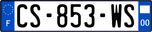 CS-853-WS