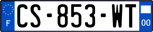 CS-853-WT