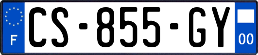 CS-855-GY