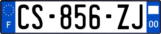 CS-856-ZJ