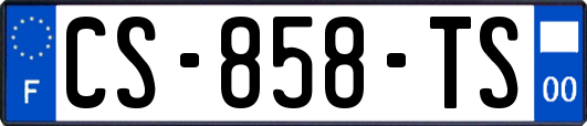 CS-858-TS