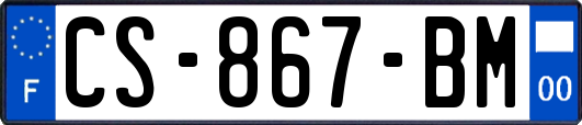 CS-867-BM