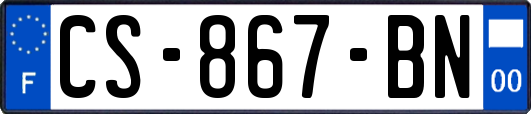 CS-867-BN