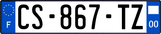 CS-867-TZ