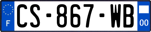 CS-867-WB