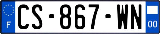 CS-867-WN