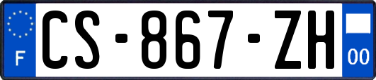 CS-867-ZH