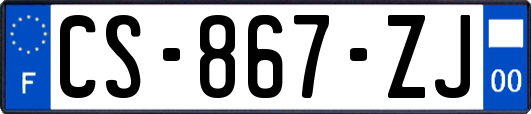 CS-867-ZJ