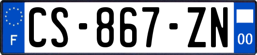 CS-867-ZN