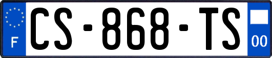 CS-868-TS