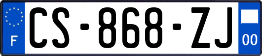 CS-868-ZJ