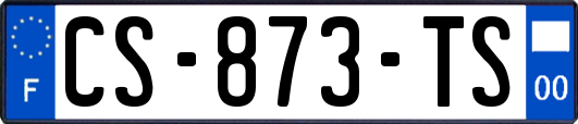 CS-873-TS