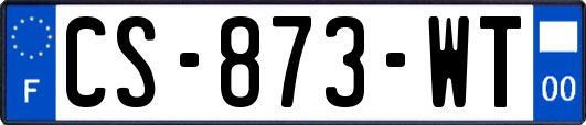 CS-873-WT