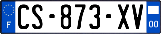 CS-873-XV