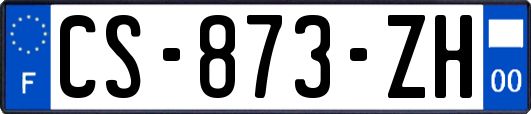 CS-873-ZH