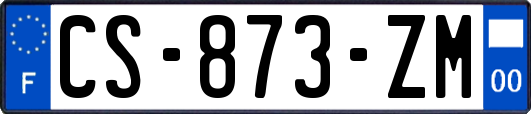 CS-873-ZM