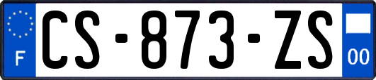 CS-873-ZS