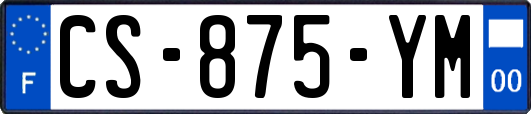 CS-875-YM