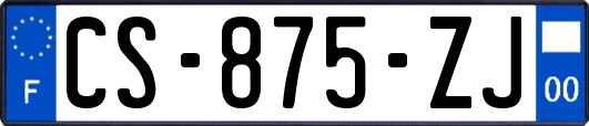 CS-875-ZJ