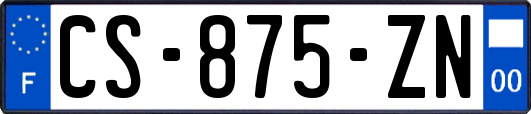 CS-875-ZN