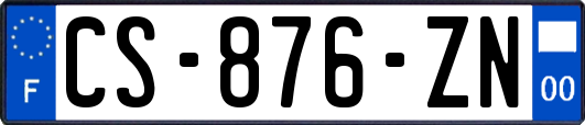 CS-876-ZN