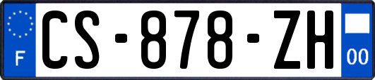 CS-878-ZH