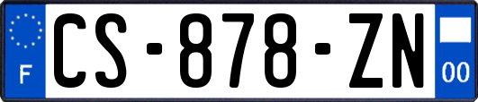 CS-878-ZN