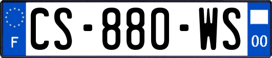 CS-880-WS