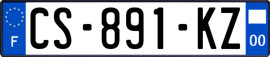 CS-891-KZ