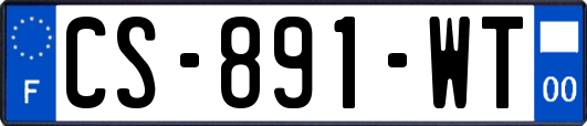 CS-891-WT