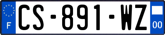 CS-891-WZ