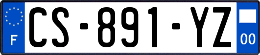 CS-891-YZ