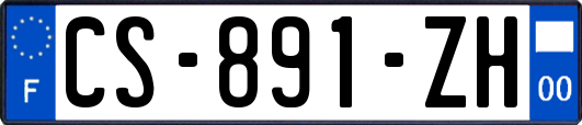 CS-891-ZH