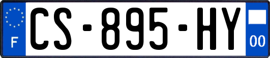 CS-895-HY