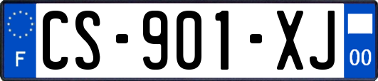 CS-901-XJ