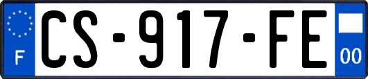 CS-917-FE