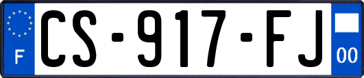 CS-917-FJ