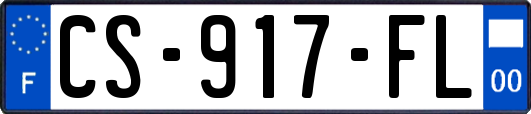 CS-917-FL