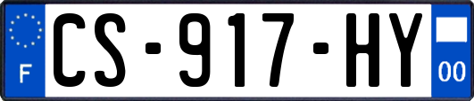 CS-917-HY
