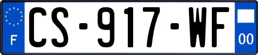 CS-917-WF