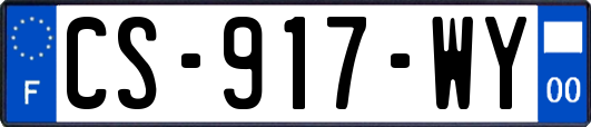 CS-917-WY