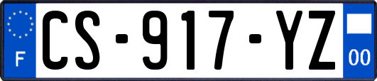 CS-917-YZ