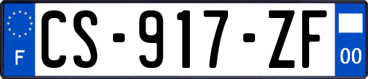 CS-917-ZF