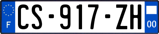 CS-917-ZH