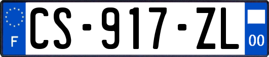 CS-917-ZL