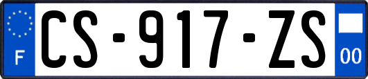 CS-917-ZS